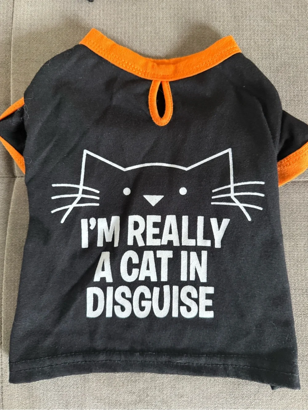 Halloween Dog Bundle: Size Small Sweater, XS T-shirt, and Monster Squeaky Toy